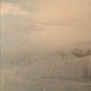 Meet your Posher, Chase